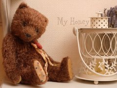 Киев ТеддиЛенд 2