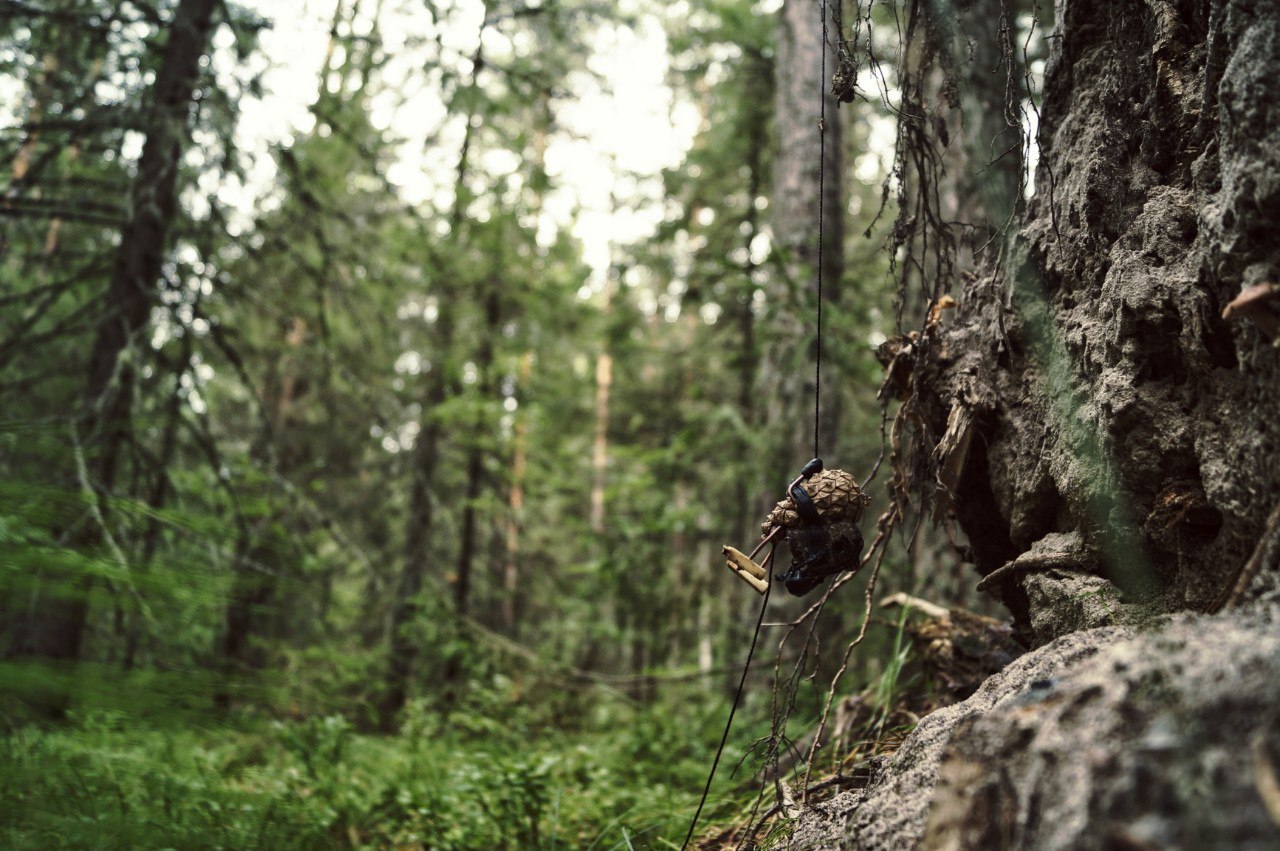 #ПутешествиеСосновойШишки часть 7