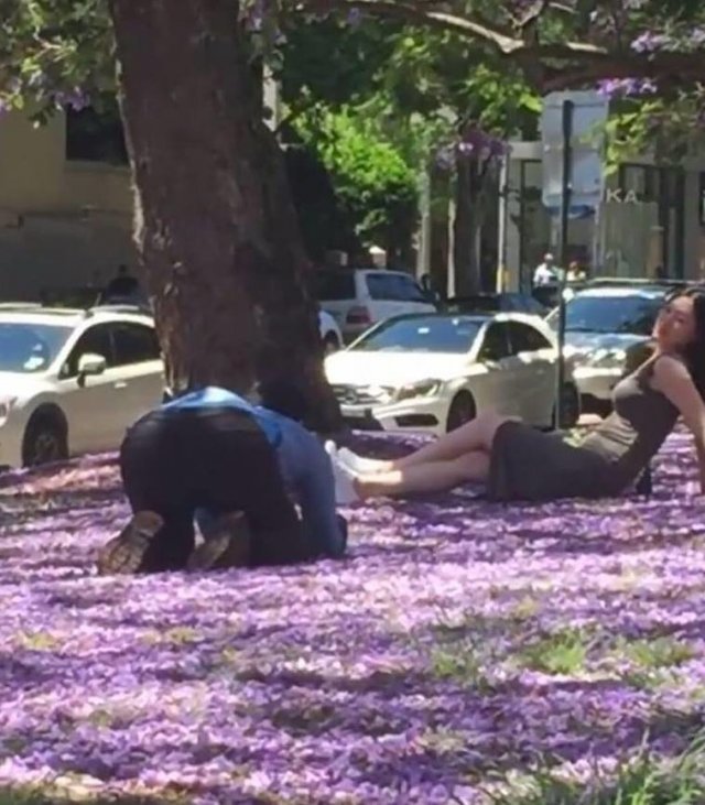 Нелегка жизнь фотографа