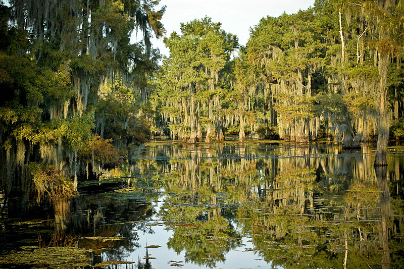 Кінотуризм: Щоденник Пам'яті