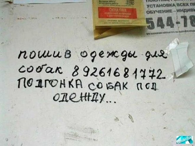 Маразмы месяца