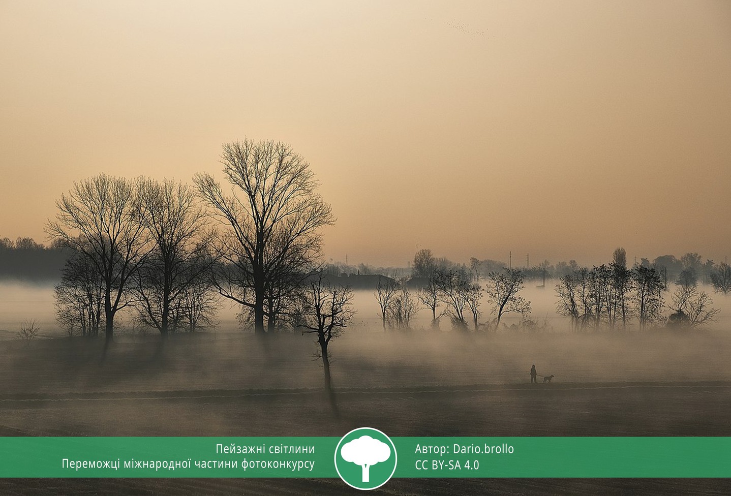 найкращі фото природи 2021