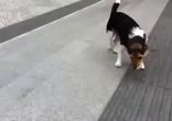 Нууу! Поиграй со мной )))