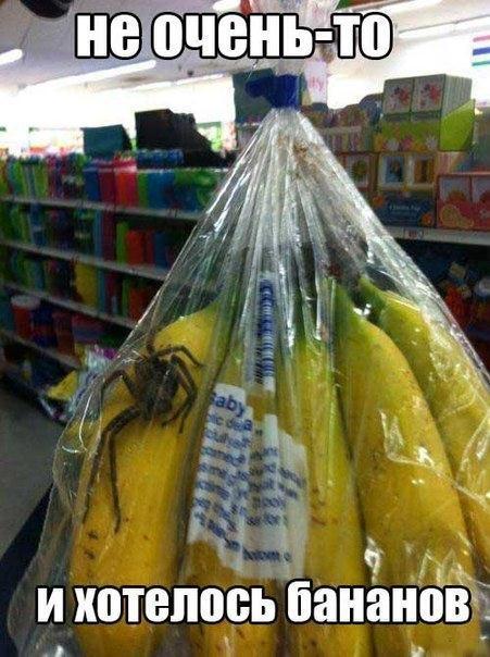 Захотел банан... уже не хочу