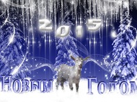 С новым 2015 годом