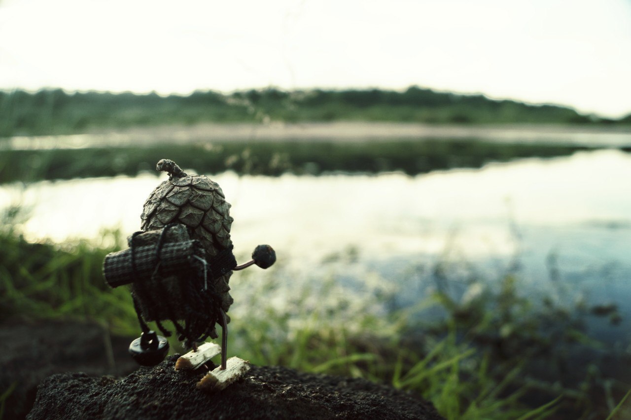 #ПутешествиеСосновойШишки часть 8