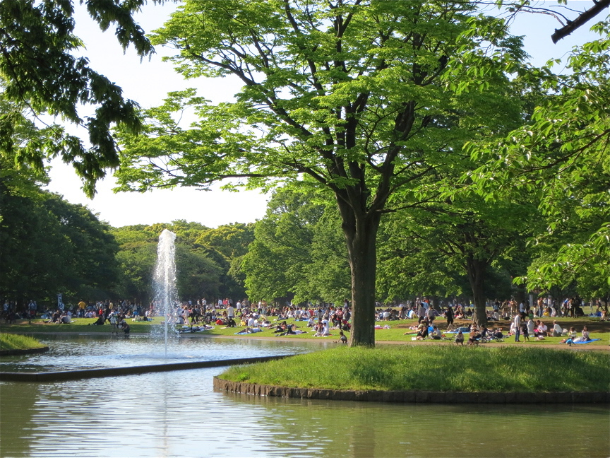 Лучшие бесплатные развлечения мира