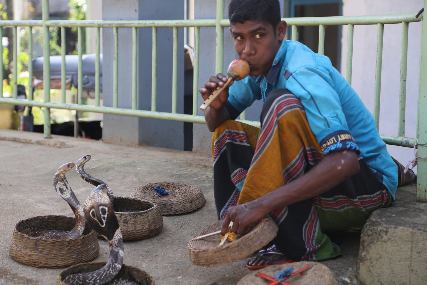 Дмитрий Каднай о Шри-Ланке: все, что вы не прочитаете в путеводителе об острове