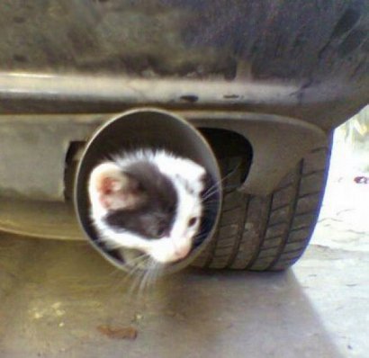 Приколы)) часть шесть)