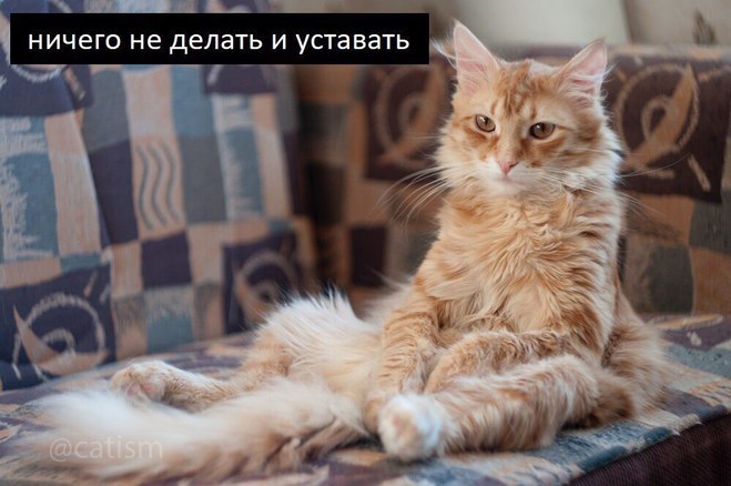 Когда ты мастер: