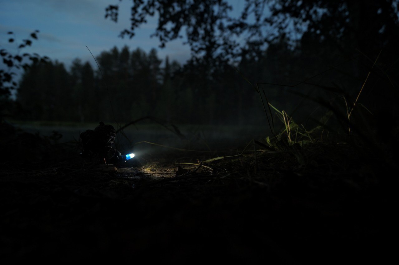 #ПутешествиеСосновойШишки часть 3