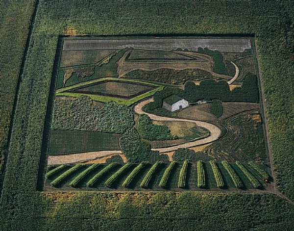 Креативные картины на рисовых полях