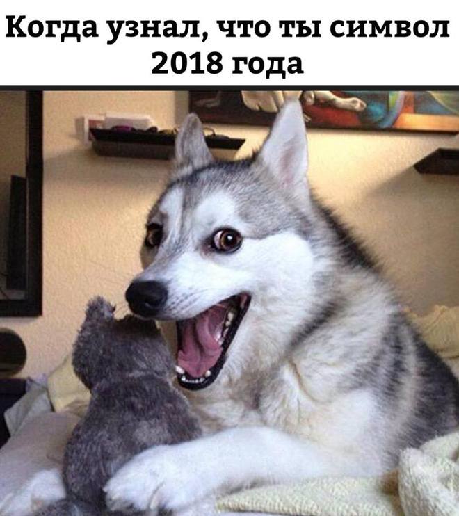 Самый няшный символ года 2018