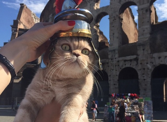 Рим