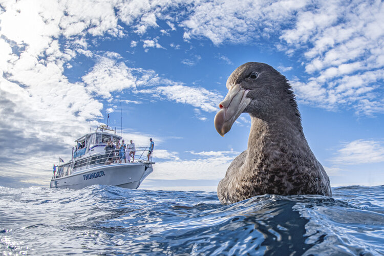 World Nature Photography Awards 2020