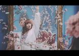 Iiris - Tigerhead