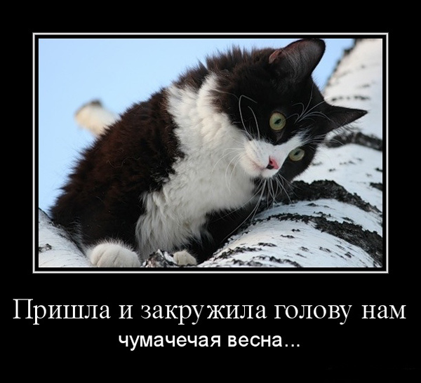 Весенние демотиваторы