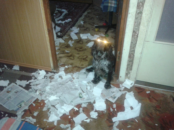 Я немного ПСИХАНУЛ