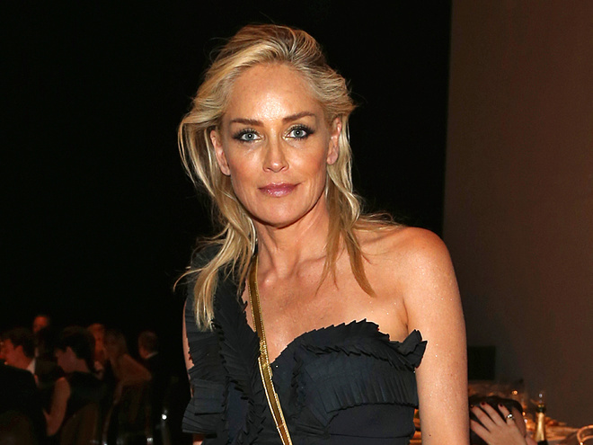 Володимир Зеленський, Шерон Стоун