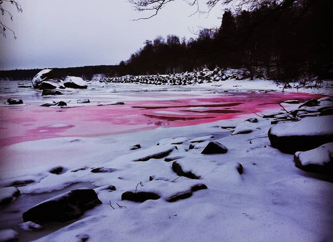 Эстония красная вода