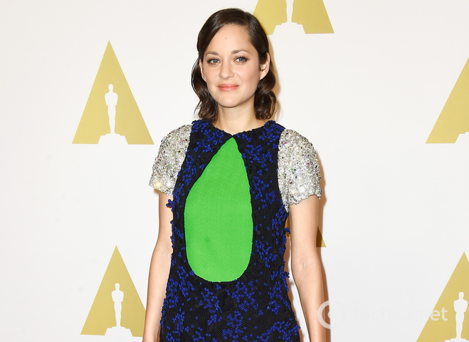 Зірки на фотоколлі номінантів на Оскар