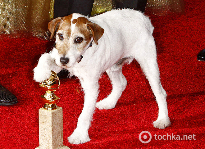 Собака Уггі отримала собачий Оскар