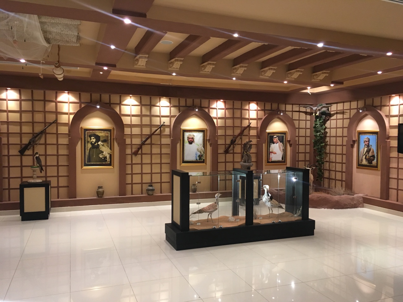 Соколиный госпиталь в Абу Даби