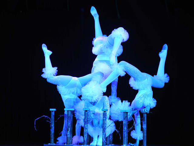 Принцесса Стефания и Цирк Кобзов