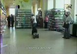 вот как надо просить!