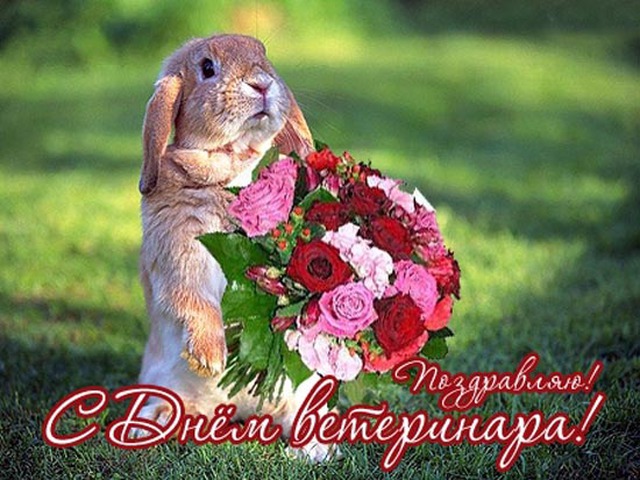 Поздравления с днем ветеринарных работников Поздравления с днем ветеринарных работников