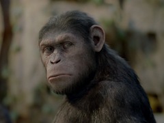 Восстание планеты обезьян