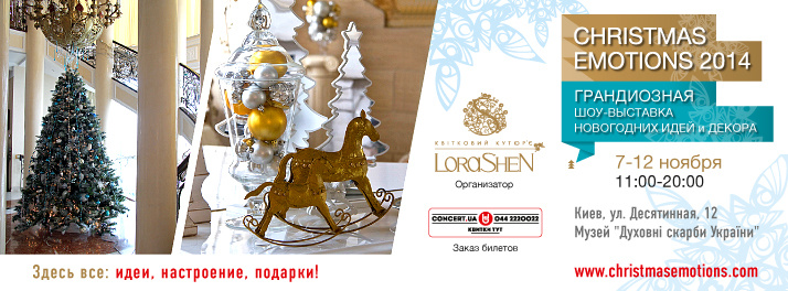 Christmas Emotions-2014