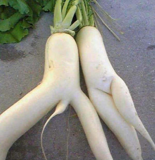 Ах, нет.... показалось