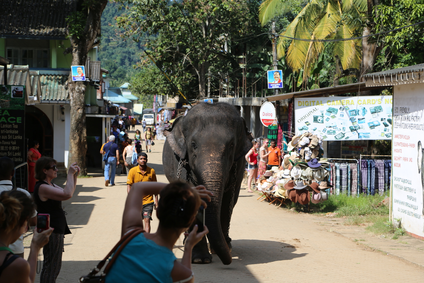 Дмитрий Каднай о Шри-Ланке: все, что вы не прочитаете в путеводителе об острове
