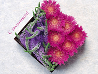 С праздником 8 марта