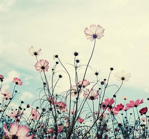 В память о лете