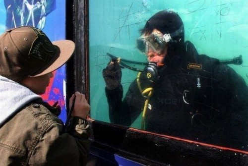 Веселая жизнь