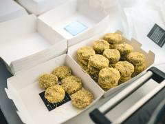 Київський бал