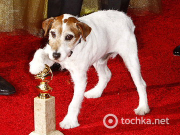 Собака Угги получила собачий Оскар