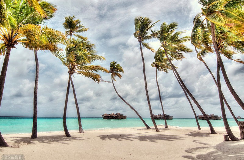 Найкращі тревел-блоги: Beers and Beans