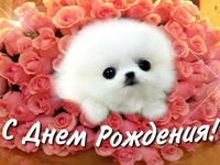 Открытки с пожелание позитивного дня
