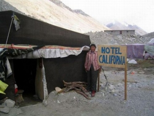 Жизнь - веселая штука