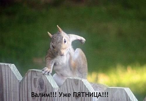 Приколы про пятницу