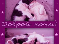 Доброй ночи