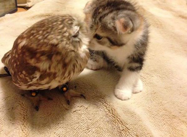 Лучшие друзья