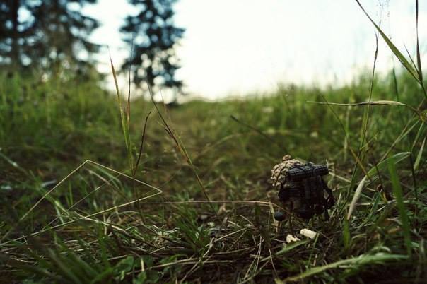 #ПутешествиеСосновойШишки часть 4