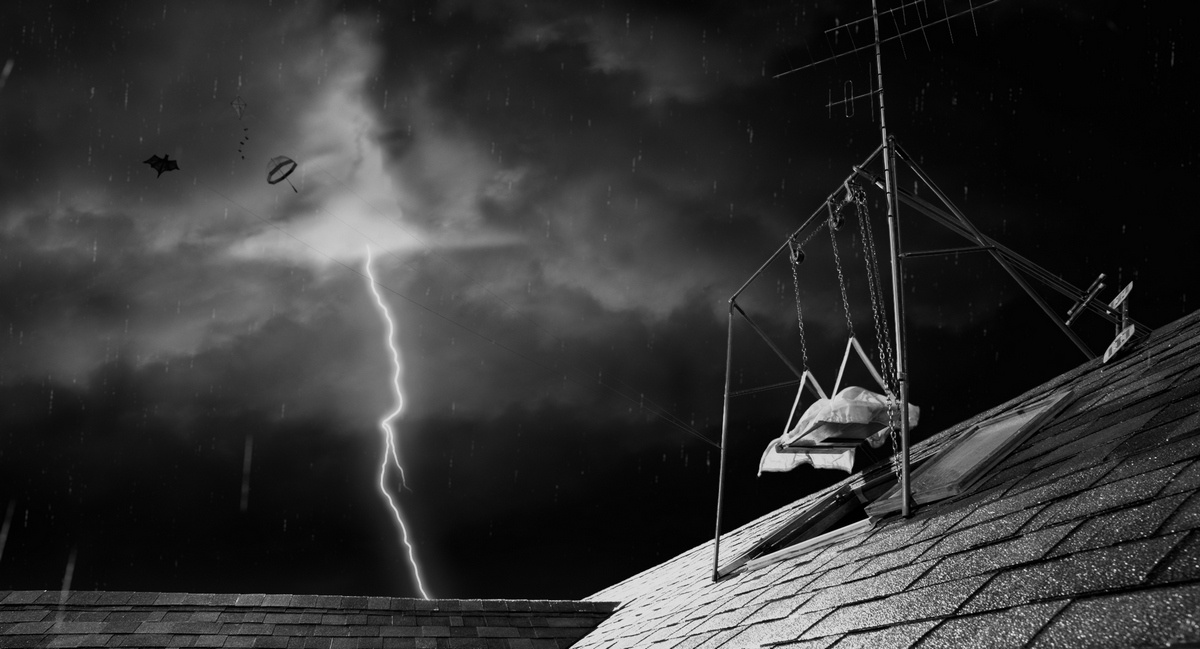 Франкенвини