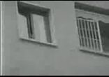 На крыше дома...
