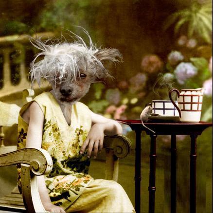 Ретро - животные