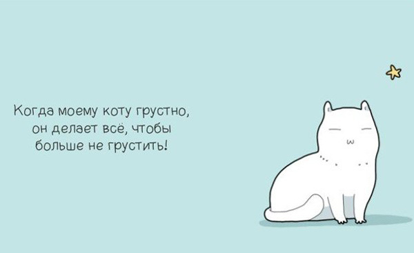 Когда моему коту грустно